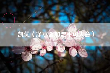 凯优（净水器加盟不可大意）