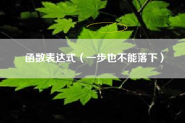 函数表达式（一步也不能落下）