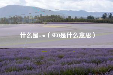什么是seo（SEO是什么意思）