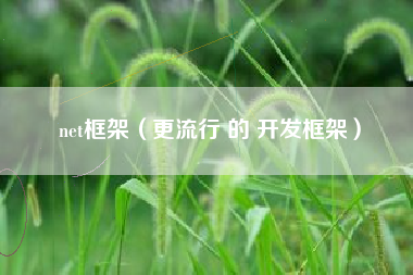 net框架(更流行 的 开发框架)