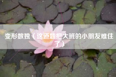 变形数独(这道题把大班的小朋友难住了)