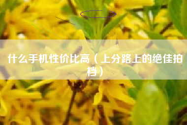 什么手机性价比高（上分路上的绝佳拍档）