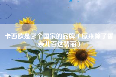 卡西欧是哪个国家的品牌(原来除了香奈儿百达翡丽)