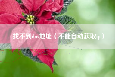 找不到dns地址(不能自动获取ip)