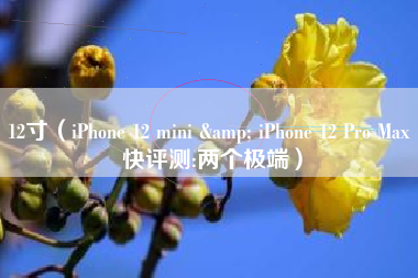 12寸（iPhone 12 mini & iPhone 12 Pro Max 快评测:两个极端）