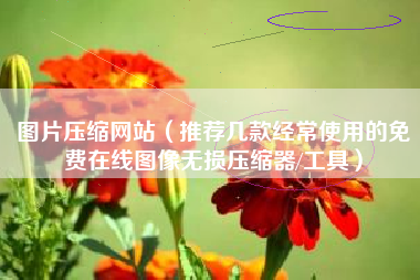 图片压缩网站（推荐几款经常使用的免费在线图像无损压缩器/工具）