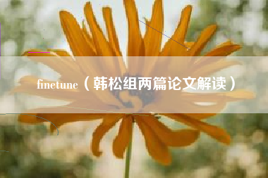 finetune（韩松组两篇论文解读）