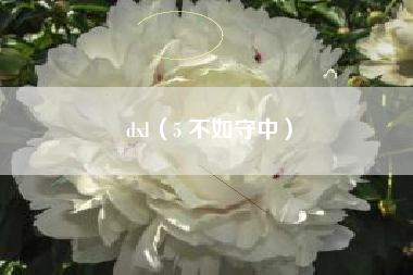 dxl(5 不如守中)