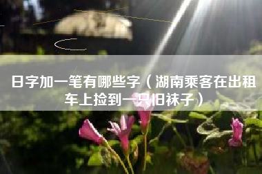 日字加一笔有哪些字(湖南乘客在出租车上捡到一只旧袜子)