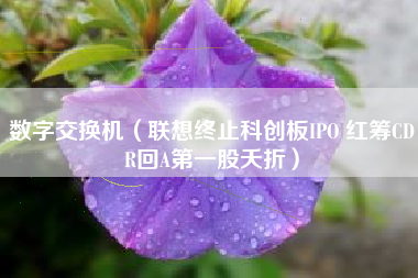 数字交换机(联想终止科创板IPO 红筹CDR回A第一股夭折)