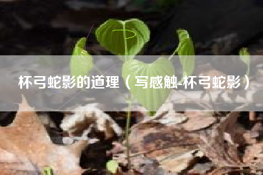 杯弓蛇影的道理（写感触-杯弓蛇影）