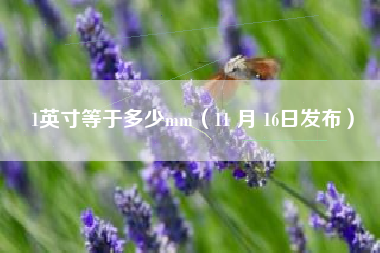 1英寸等于多少mm（11 月 16日发布）