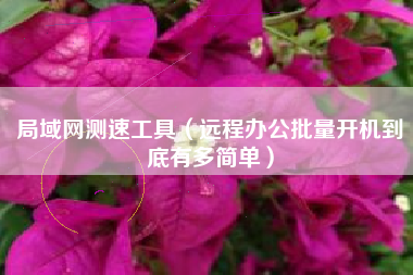 局域网测速工具（远程办公批量开机到底有多简单）