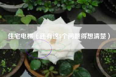 住宅电梯(还有这5个问题得想清楚)