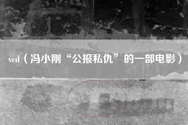 vcd(冯小刚“公报私仇”的一部电影)