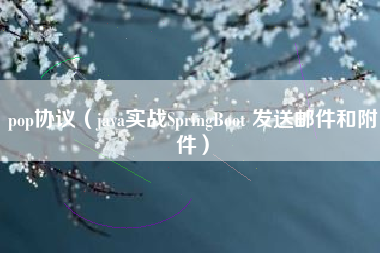 pop协议（java实战SpringBoot 发送邮件和附件）