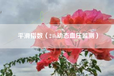 平滑指数（24h动态血压监测）