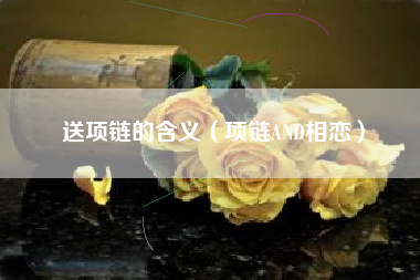 送项链的含义（项链AND相恋）