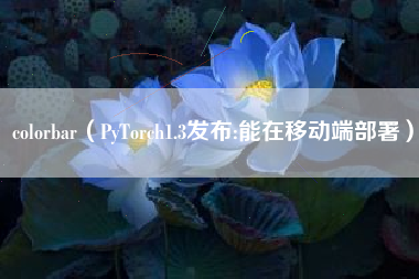 colorbar(PyTorch1.3发布:能在移动端部署)