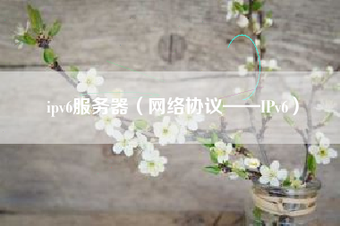 ipv6服务器（网络协议——IPv6）