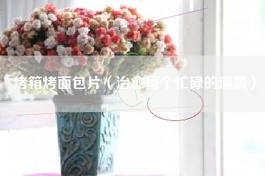烤箱烤面包片(治愈每个忙碌的清晨)
