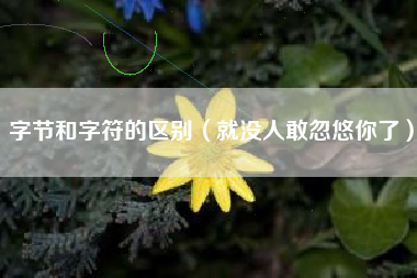 字节和字符的区别（就没人敢忽悠你了）