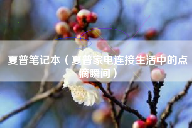 夏普笔记本（夏普家电连接生活中的点滴瞬间）