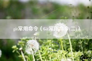 git常用命令（Git常用命令(二)）