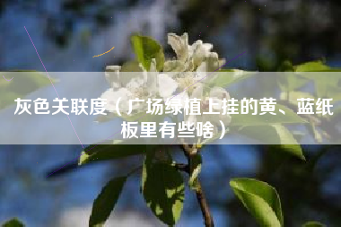 灰色关联度（广场绿植上挂的黄、蓝纸板里有些啥）