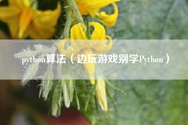 python算法（边玩游戏别学Python）