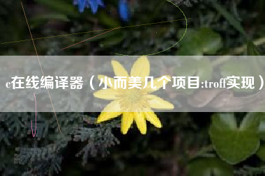 c在线编译器(小而美几个项目:troff实现)