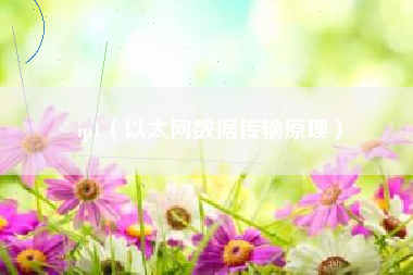 ip1（以太网数据传输原理）