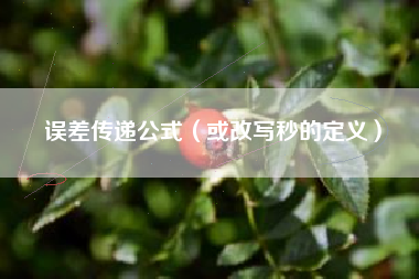 误差传递公式（或改写秒的定义）