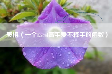 表格（一个Excel高手爱不释手的函数）