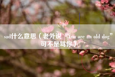 详细阅读:sad什么意思(老外说“You are an old dog”可不是骂你) sad什么意思(老外说“You are an old dog”可不是骂你)