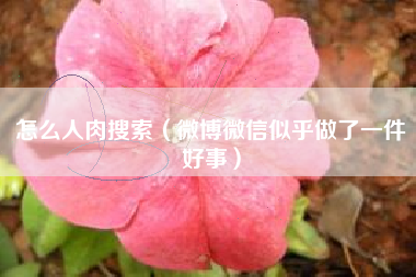 详细阅读:怎么人肉搜索(微博微信似乎做了一件好事) 怎么人肉搜索(微博微信似乎做了一件好事)
