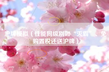 沪牌模拟(性能同级别如“灭霸”、免购置税还送沪牌)