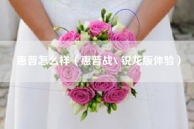 惠普怎么样(惠普战X 锐龙版体验)