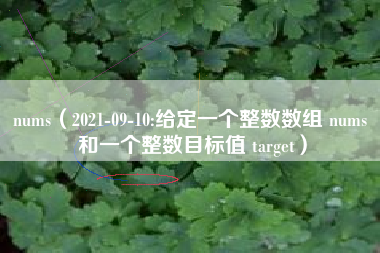 nums（2021-09-10:给定一个整数数组 nums 和一个整数目标值 target）