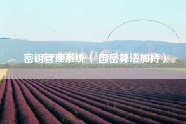 密钥管理系统（ 国密算法加持）