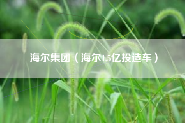 海尔集团(海尔1.5亿投造车)