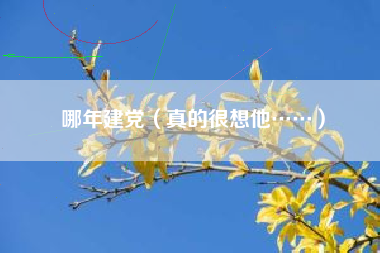 哪年建党（真的很想他……）