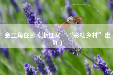 金三角在哪(浙江又一“彩虹乡村”走红)