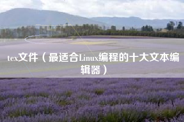 tex文件(最适合Linux编程的十大文本编辑器)
