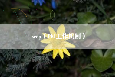 scep(PKI工作机制)