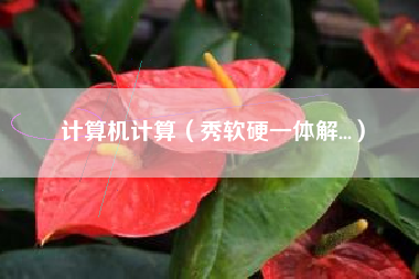 计算机计算（秀软硬一体解...）