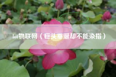 lot物联网（巨头垂涎却不能染指）