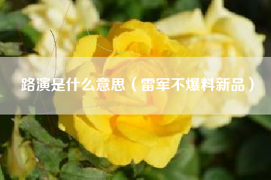 路演是什么意思(雷军不爆料新品)