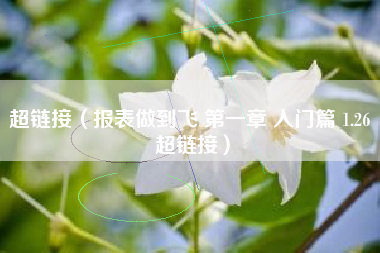 超链接（报表做到飞 第一章 入门篇 1.26 超链接）