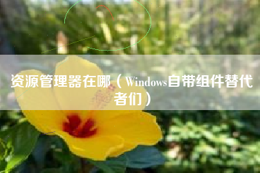 资源管理器在哪(Windows自带组件替代者们)